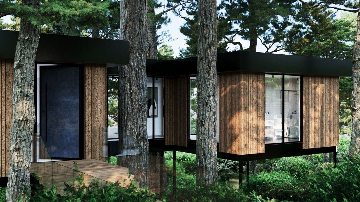 A timber-clad house raised among redwood trunks